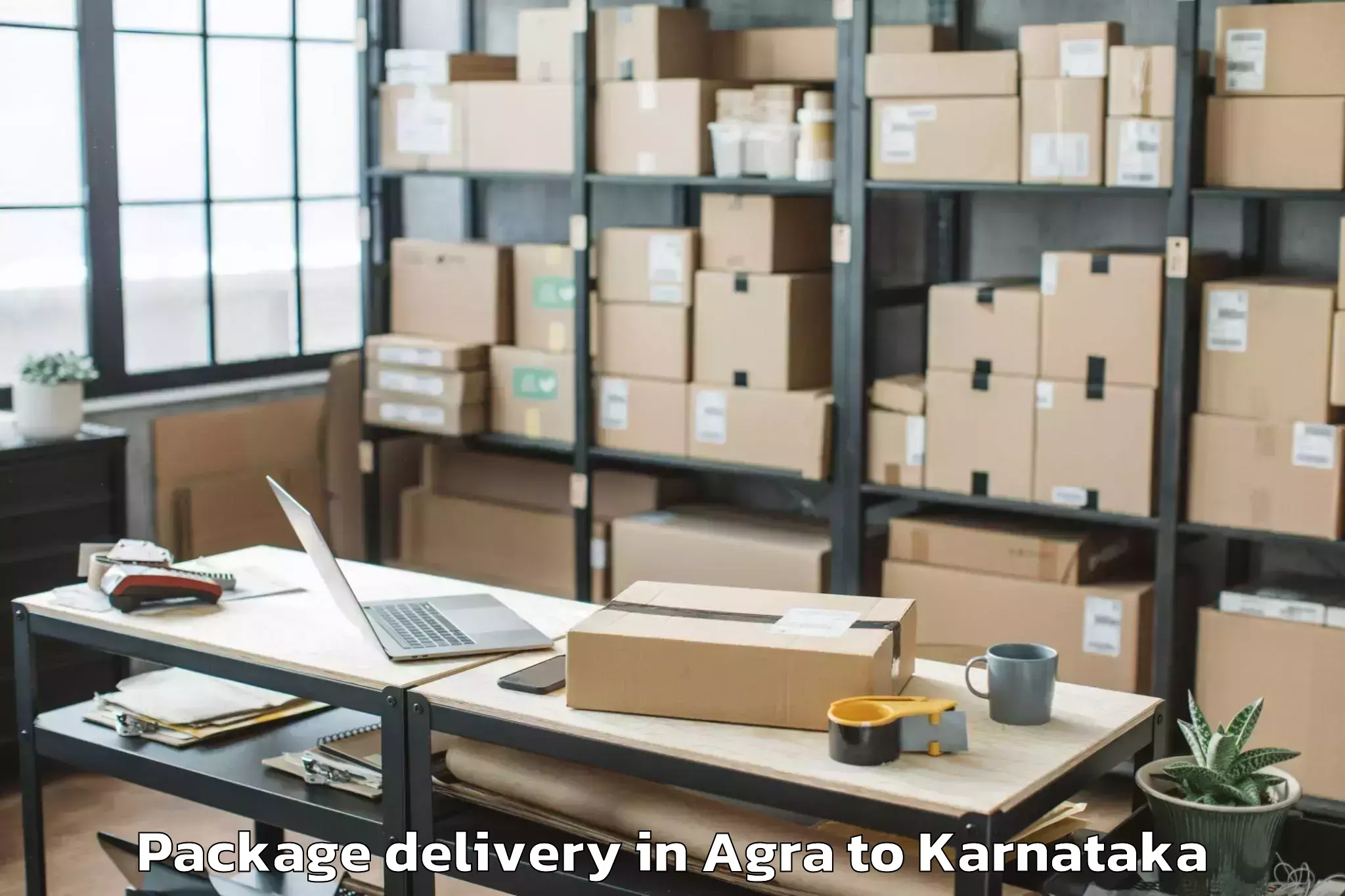 Hassle-Free Agra to Holalkere Rural Package Delivery